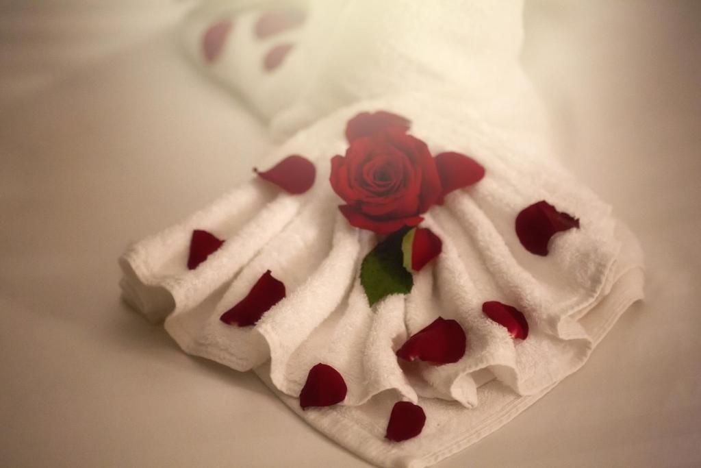 Photo 62 de Al Safwah Royale Orchid Hotel